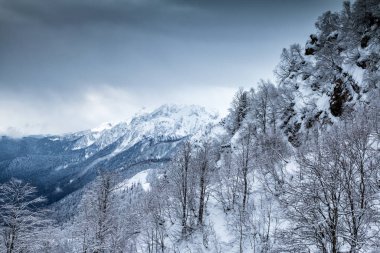 Kış bulutlu bir günde karla kaplı yüksek dağ zirveleri