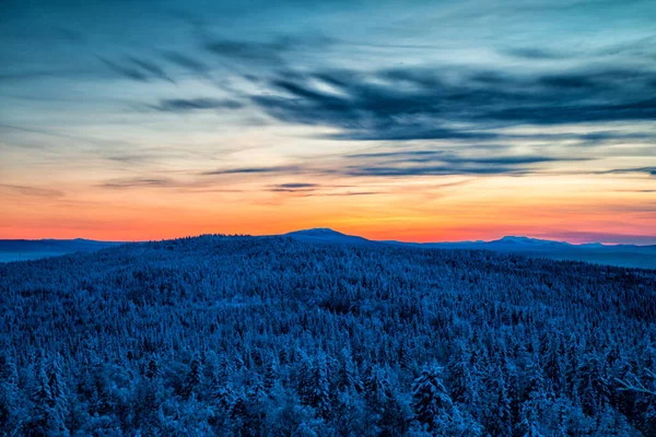 Karlı kozalaklı orman ve dağlar resimli günbatımı ışığında