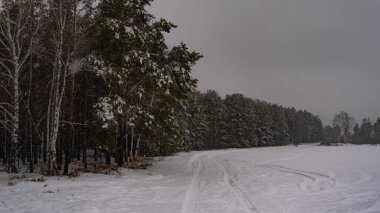 Sibirya 'daki orman. Tarlada kar fırtınası. Sis. Donmuş ağaçlar. Orman Yolu.