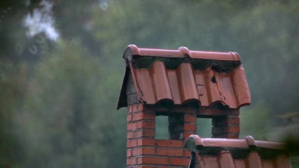 Гілки дерева і дахи будинків і димоходу — стокове відео