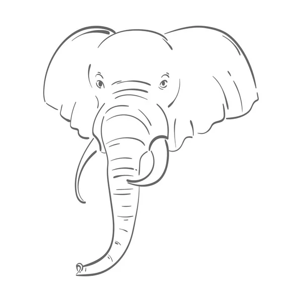 Abstrakta illustrationen av en elefant. — Stock vektor