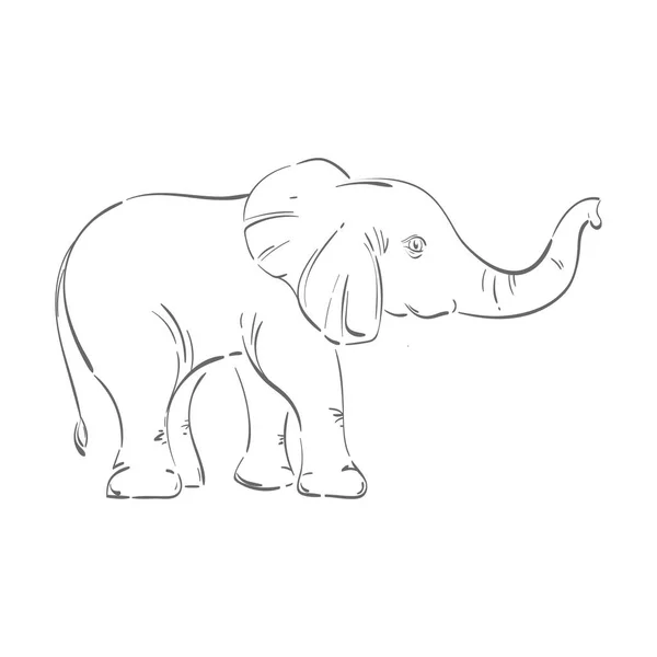 Abstrakta illustrationen av en elefant. — Stock vektor