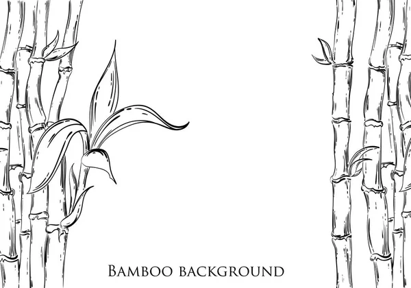Ilustração abstrata vetorial com bambu . —  Vetores de Stock