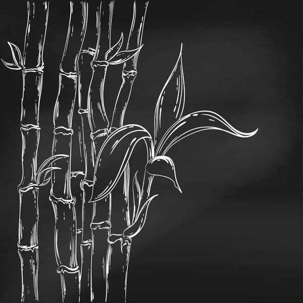 Ilustração abstrata vetorial com bambu. Quadro negro . —  Vetores de Stock
