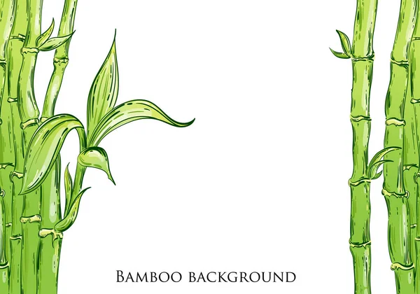 Absztrakt vektor-illusztráció bambusz. — Stock Vector