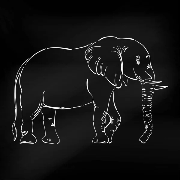 Abstrakta illustrationen av en elefant. — Stock vektor