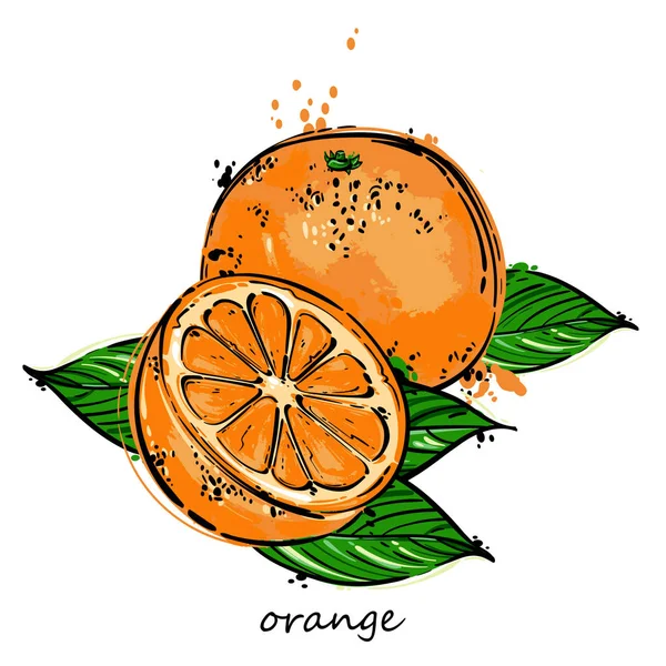 Αφηρημένη εικονογράφηση φορέα με ένα πορτοκάλι. — Διανυσματικό Αρχείο