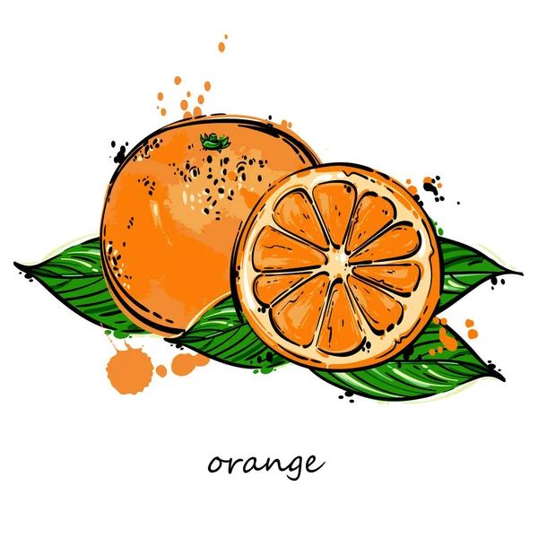 Ilustração abstrata vetorial com laranja . — Vetor de Stock