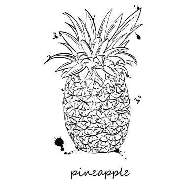 Ananas vektör soyut çizim.