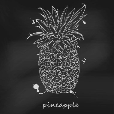 Ananas vektör soyut çizim.