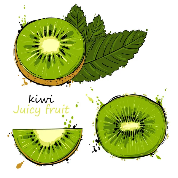 Ilustração abstrata vetorial com kiwi . — Vetor de Stock