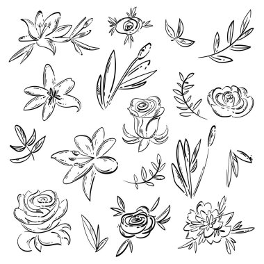 Güller, zambaklar ve yapraklarla soyut bir vektör seti. El çizimi. Çiçek seti