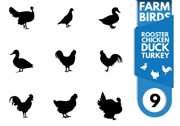 kuş siluet koleksiyonu