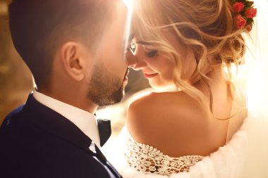 Gelin ve damat şefkatle uçan bir peçe güzel resimler gölgesinde öper. çocuklar keyfini çıkarın. Aşıkların seksi öpüşme şık çift portre kadar kapatın