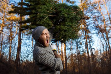 Genç adam: caryying Noel ağacı ahşap