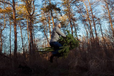 Genç adam: caryying Noel ağacı ahşap