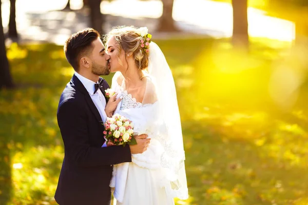 Brudparet Kysser Ömt Skuggan Flygande Slöja Beautiful Bilder Killar Njuta — Stockfoto