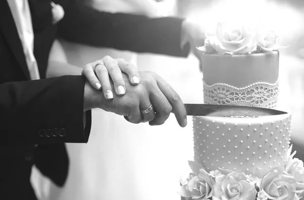 新娘和新郎正在切他们的结婚蛋糕 漂亮的蛋糕Nicel 灯婚礼的概念 黑白照片 — 图库照片