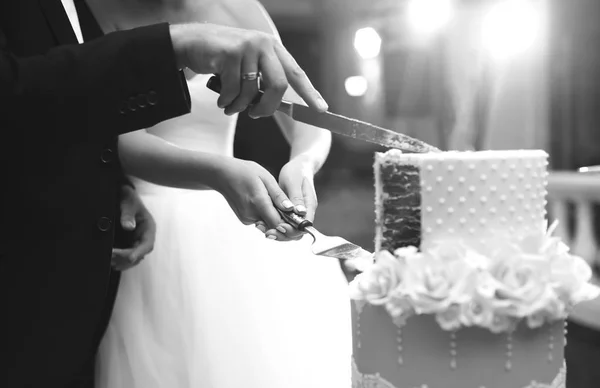 新婦の結婚式のケーキを切っています 美しいケーキ ファッションシーズン 素敵なライトです 結婚式のコンセプト 黒と白の写真 — ストック写真
