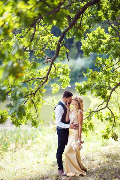 Elegante Pareja Recién Casados Felices Posando Parque Día Boda Pareja —  Fotos de Stock