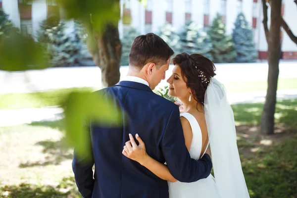 Gli Sposi Camminano Insieme Nel Parco Affascinante Sposa Abito Bianco — Foto Stock