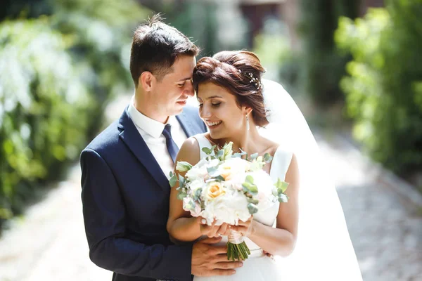 Gli Sposi Camminano Insieme Nel Parco Affascinante Sposa Abito Bianco — Foto Stock