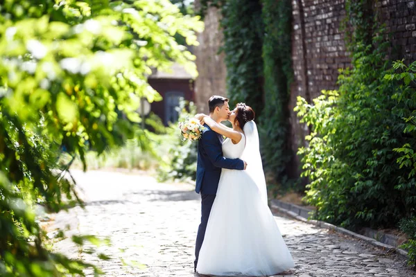 Gehen Braut Und Bräutigam Gemeinsam Durch Den Park Charmante Braut — Stockfoto