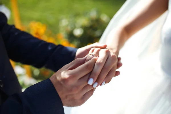 Anillos Compromiso Boda Manos Pareja Recién Casada Con Anillos Compromiso — Foto de Stock