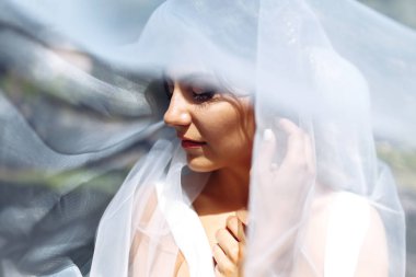 Duvağın altındaki gelinin güzel bir portresi. Profesyonel makyajlı ve saç stili olan zarif bir kadın. Bir duvağın altına gizlenmiş narin gelinlerin ellerinin fotoğrafı. Düğün günü. Evlilikten. Moda Gelini.