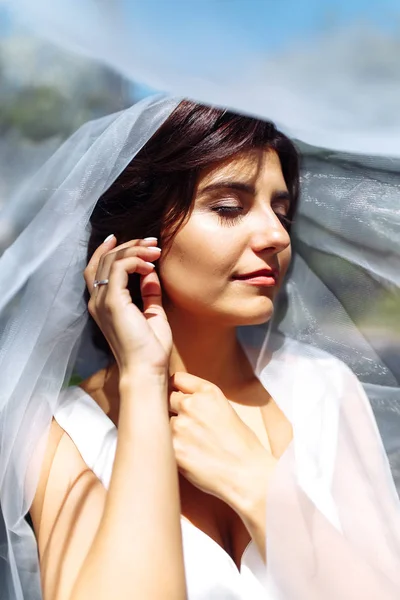 Ett Vackert Porträtt Bruden Slöja Elegant Kvinna Med Professionell Make — Stockfoto