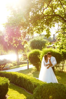 Gün batımında harika bir çift. Gelin ve damat bir buket çiçekle birlikte gün batımında yeşil tarlanın arka planına karşı ellerinde olacaklar. Romantik Evli Genç Aile. 