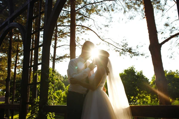 日没の素敵な結婚式のカップル 花束と結婚式の衣装を着た花嫁と新郎は 日没時の緑のフィールドの背景に手にあります ロマンチックな結婚した若い家族 — ストック写真