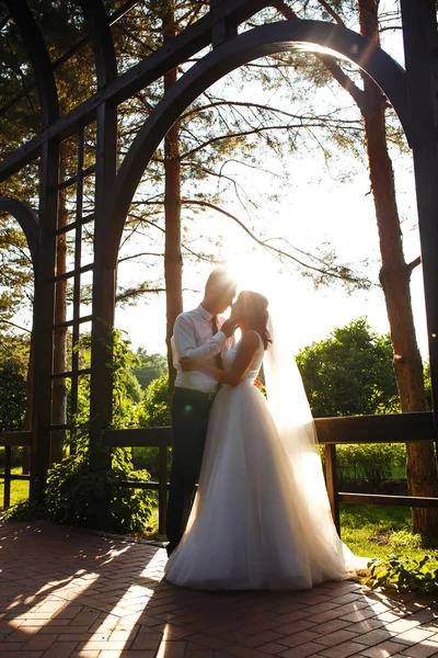 Lovely Wedding Couple Sunset Bride Groom Wedding Attire Bouquet Flowers — Stockfoto