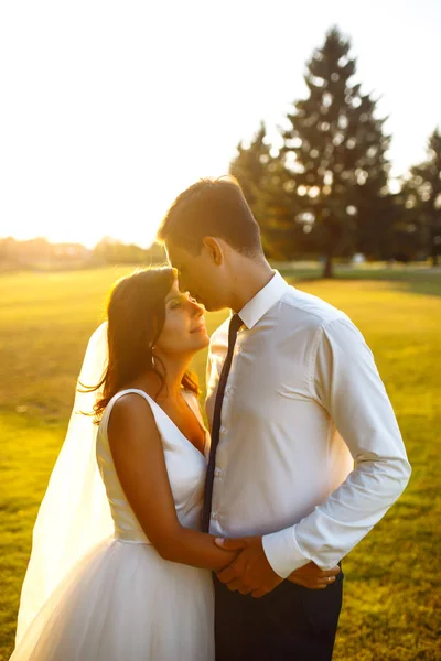 日没の素敵な結婚式のカップル 花束と結婚式の衣装を着た花嫁と新郎は 日没時の緑のフィールドの背景に手にあります ロマンチックな結婚した若い家族 — ストック写真