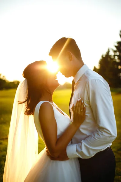 Lovely Wedding Couple Sunset Bride Groom Wedding Attire Bouquet Flowers — Stockfoto