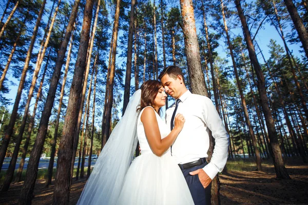 Casal Recém Casado Feliz Noiva Noivo Estão Andando Sobre Natureza — Fotografia de Stock