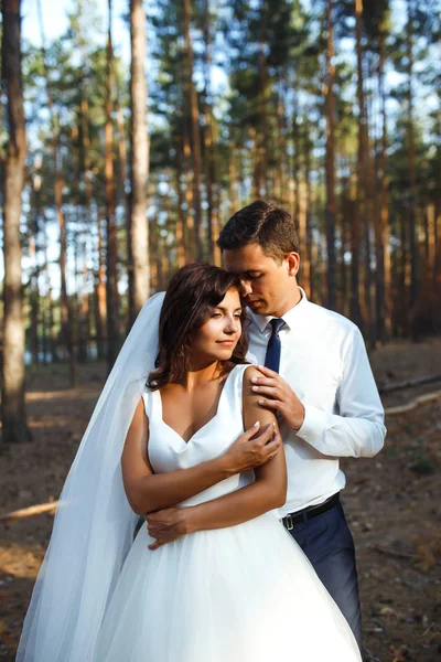 Šťastný Novomanželský Pár Nevěsty Ženicha Procházejí Přírodě Zeleném Lese Nevěsta — Stock fotografie