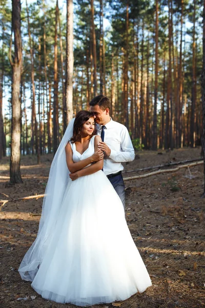 Casal Recém Casado Feliz Noiva Noivo Estão Andando Sobre Natureza — Fotografia de Stock