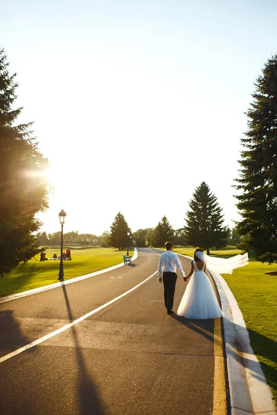 A couple in love go hand in hand on the road to meet the sunset. A happy newlywed couple of the bride and groom are walking on the road. View from the back. Together. Young family. Marriage. Wedding.