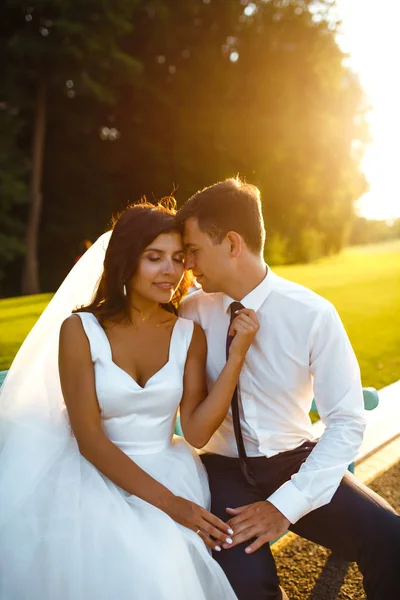 Happy Bride Groom Sitting Bench Together Sunset Lovers Cuddle Bench — Stock Photo, Image