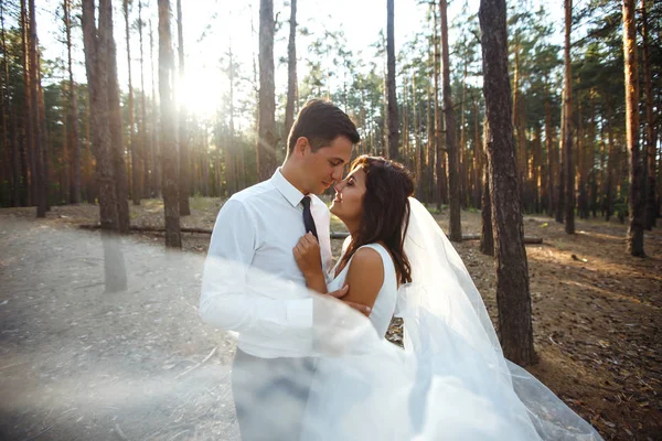 Happy Newlywed Couple Bride Groom Walking Nature Green Forest Bride Stock Picture