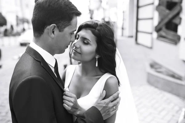 Černobílá Fotka Veselých Citových Novomanželů Kteří Mají Rádi Nádherná Nevěsta — Stock fotografie