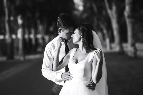 Foto Preto Branco Recém Casados Emotivos Alegres Que Divertem Linda — Fotografia de Stock