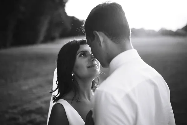 Foto Preto Branco Recém Casados Emotivos Alegres Que Divertem Linda — Fotografia de Stock