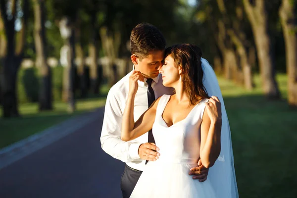 Casal Jovem Desfrutando Momentos Românticos Noivo Elegante Terno Preto Gentilmente — Fotografia de Stock