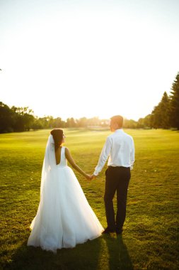 Mutlu gelin ve damat gün batımına gidiyor. Gün batımında harika bir çift. Gelin ve damat, gün batımında yeşil tarlanın arka planına karşı ellerinde olacak. Birlikte. Düğün.. 