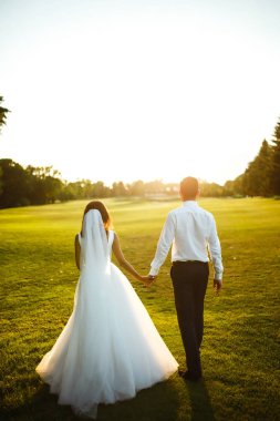 Mutlu gelin ve damat gün batımına gidiyor. Gün batımında harika bir çift. Gelin ve damat, gün batımında yeşil tarlanın arka planına karşı ellerinde olacak. Birlikte. Düğün.. 