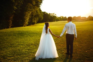Mutlu gelin ve damat gün batımına gidiyor. Gün batımında harika bir çift. Gelin ve damat, gün batımında yeşil tarlanın arka planına karşı ellerinde olacak. Birlikte. Düğün.. 