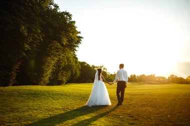 Mutlu gelin ve damat gün batımına gidiyor. Gün batımında harika bir çift. Gelin ve damat, gün batımında yeşil tarlanın arka planına karşı ellerinde olacak. Birlikte. Düğün.. 