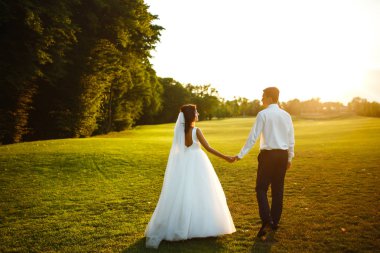 Mutlu gelin ve damat gün batımına gidiyor. Gün batımında harika bir çift. Gelin ve damat, gün batımında yeşil tarlanın arka planına karşı ellerinde olacak. Birlikte. Düğün.. 
